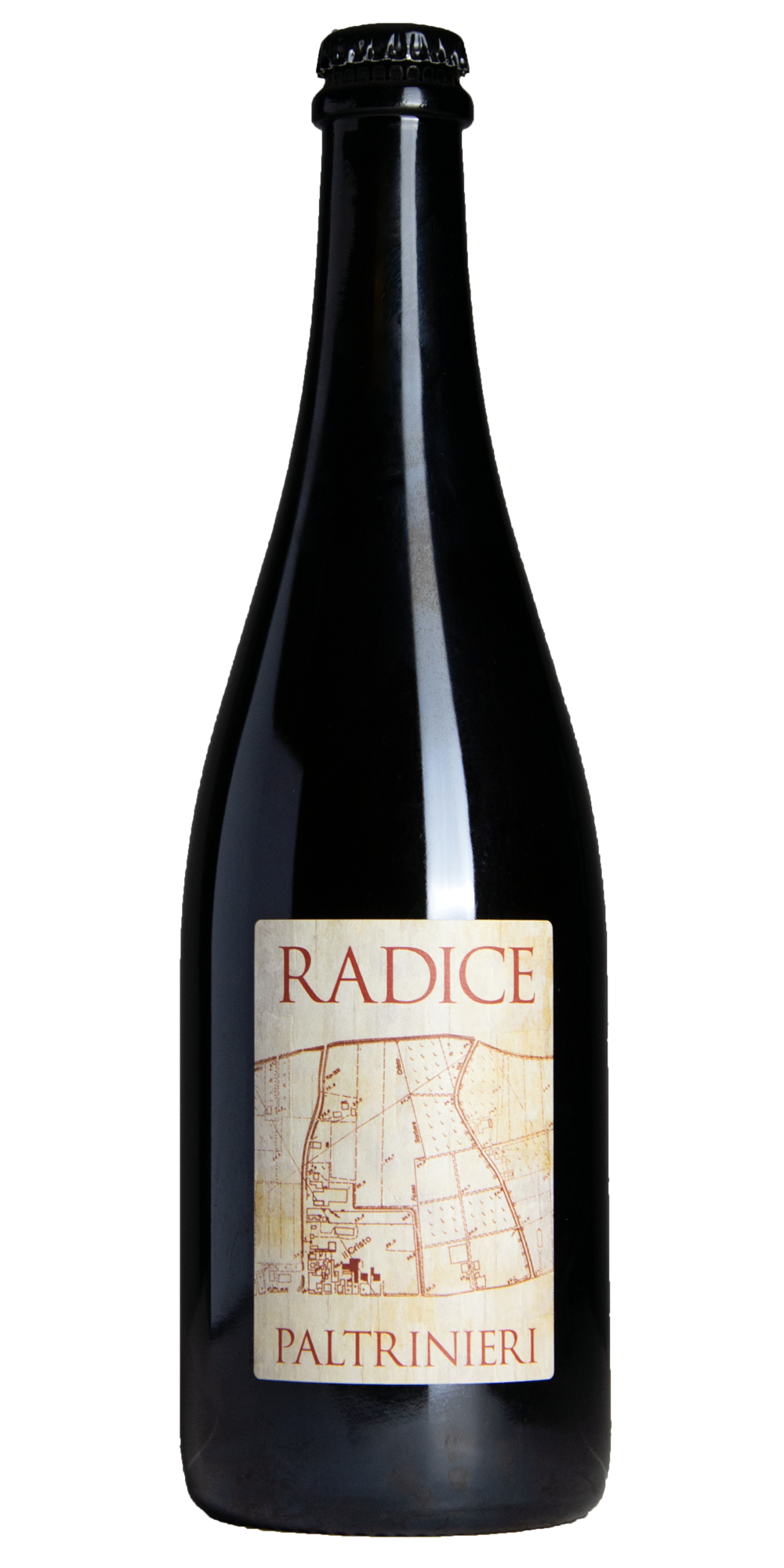 Lambrusco Radice