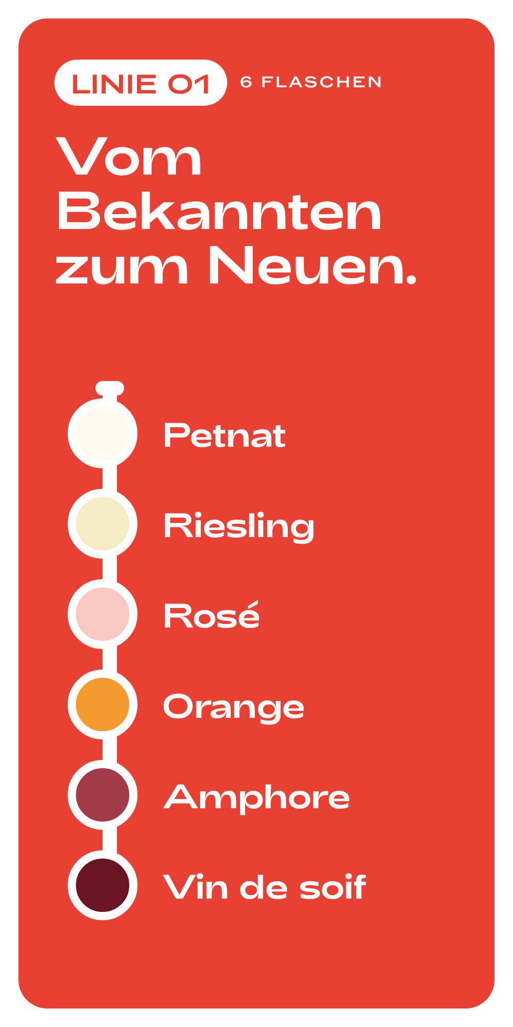 6er Paket: Naturwein Einsteiger