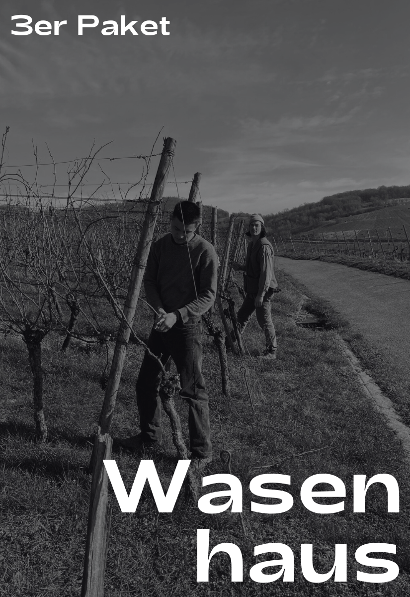 3er Paket: Wasenhaus 2023