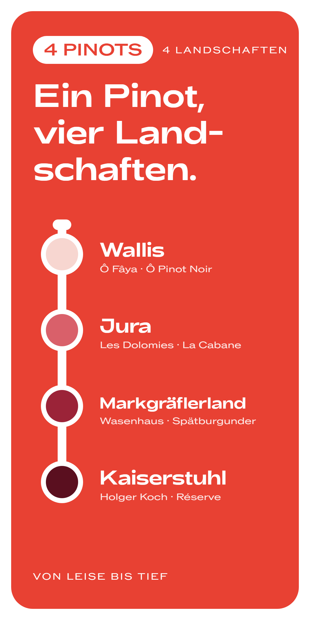 4er Paket: Ein Pinot, vier Landschaften